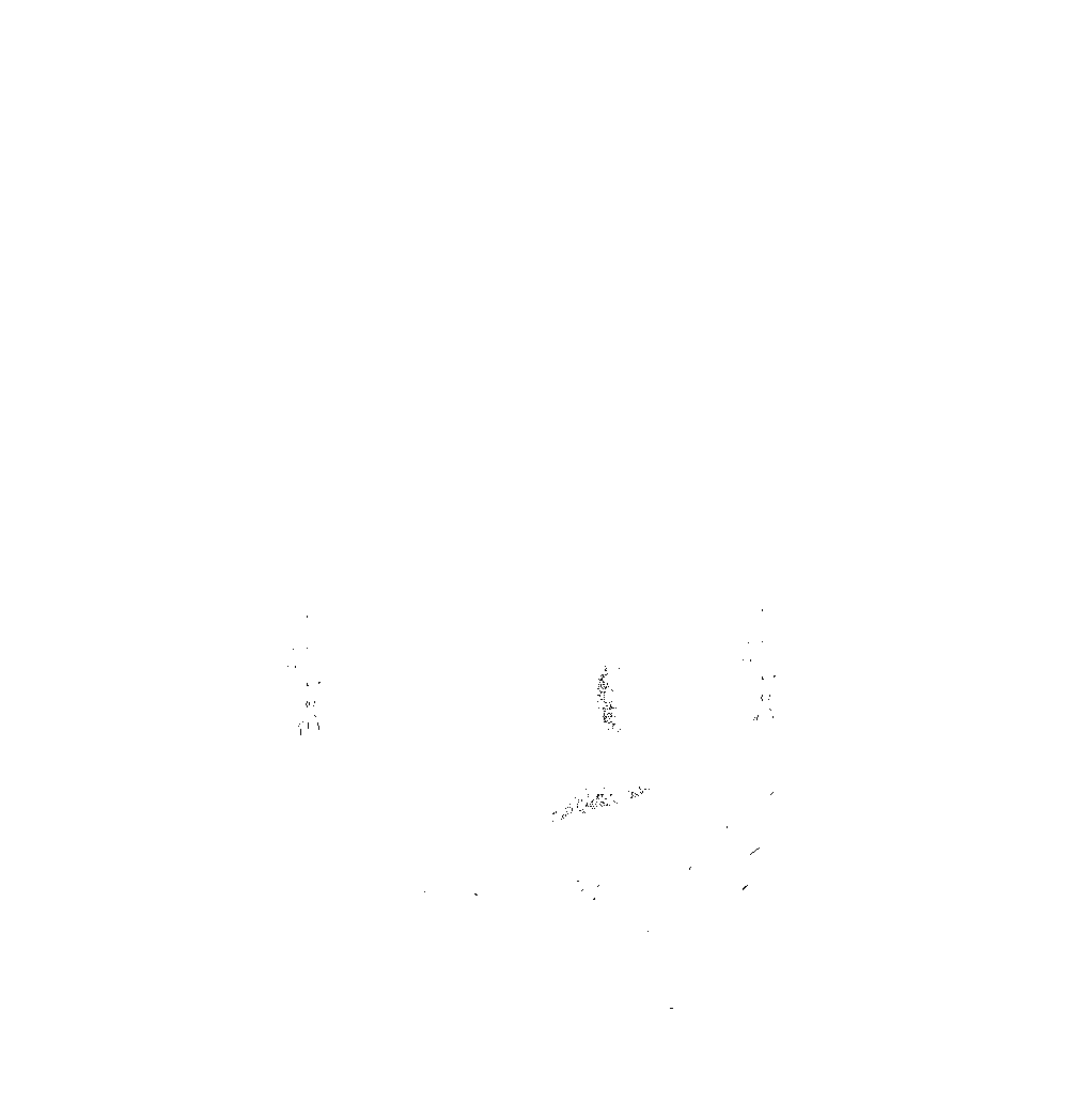 UMSNH